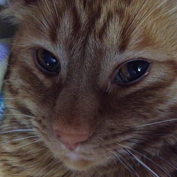 Profile Picture of Kristin Seymour verkey (@kverkey) on Poshmark