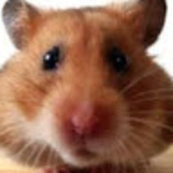 Gracie Huettl - Poshmark Profile Picture of Gracie Huettl (@graciehuettl) on Poshmark