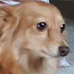 Profile Picture of Tess Woods (@tessmwoods06) on Instagram