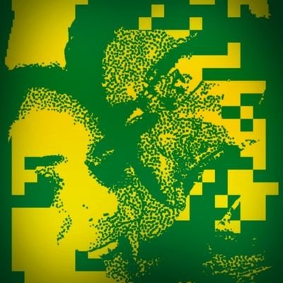 Profile Picture of Re E Nelsinho 🇧🇷 🇺🇸 🇮🇱 (@ReLuNelson) on Twitter