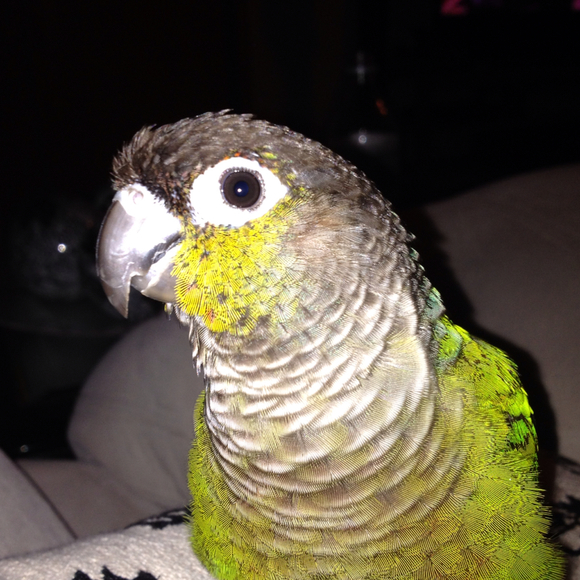 Profile Picture of Bree Bunting (@breeb84) on Poshmark