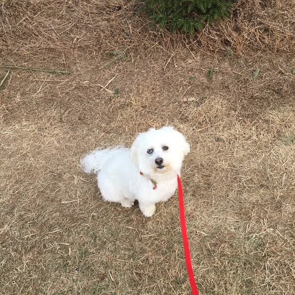 Profile Picture of Ellen Elmstrom (@eelmstrom1) on Poshmark