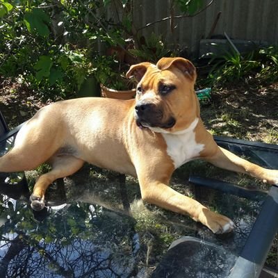 Profile Picture of Barry Holley (@BarryHolley3) on Twitter