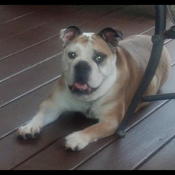 Profile Picture of Dawn Spahn (@dawn525) on Poshmark