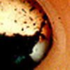 Profile Picture of james pienta (@pienta) on Flickr