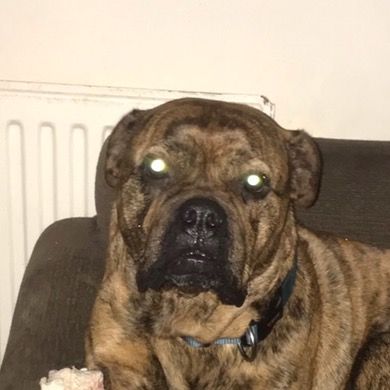 Profile Picture of adam bould (@adambould03) on Tiktok