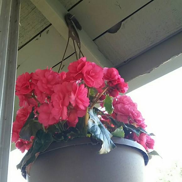 Profile Picture of Rosaura Rodriguez (@rosita0901) on Poshmark