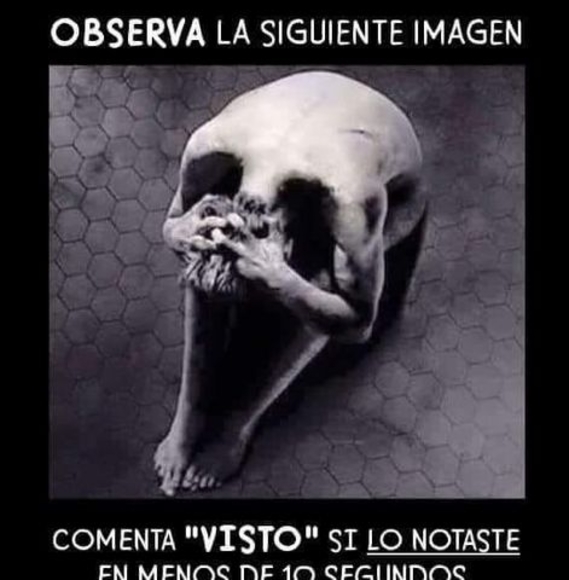 Roque arturo Flores alvarez - Poshmark Profile Picture of Roque arturo Flores alvarez (@arturosanluis) on Poshmark