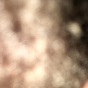 Profile Picture of Bob Gary (@bobgary5342) on Youtube