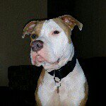 Profile Picture of Steven lung (@stevenlungll79) on Instagram