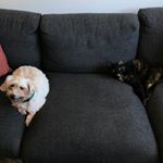 Profile Picture of Ray Bialy Charles & Marble Rye (@rayandrye) on Instagram