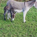 Profile Picture of Sean (@sean__burchill) on Instagram