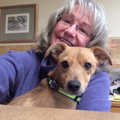 Profile Photo of Megan Drake (@NJdoggiemom) on Twitter