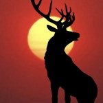 Blake Oldham - Instagram Profile Picture of Blake Oldham (@ryan_oldham1) on Instagram