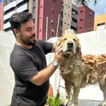 Profile Picture of Gabriel Hassel (@amigopetmaceio) on Instagram