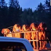 Profile Picture of Travis Hyde (@TravisHyde14) on Twitter