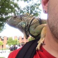 Profile Picture of Jake Soriano (@jake-soriano-4) on Quora