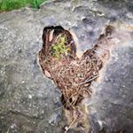 Profile Picture of Keisha Alexander (@keish_peach21) on Instagram