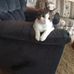 Profile Picture of Kathy Shade (@kathy.shade.102) on Facebook