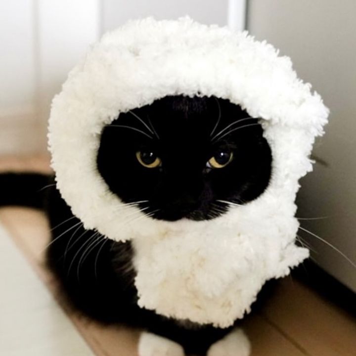 Profile Picture of erin (@slugerin) on Tiktok
