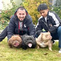 Profile Picture of Andrew Tirado (@andrew-tirado-6) on Quora