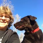 Profile Picture of Robin Ivey (@robinivey54) on Instagram