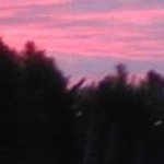 Profile Picture of Kathleen Arnold (@juddyarnold) on Instagram