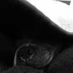 Profile Picture of DM Darth Jake (@kyleminis) on Instagram