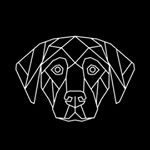 Profile Picture of Steve Nelson (@visiontrigger) on Instagram