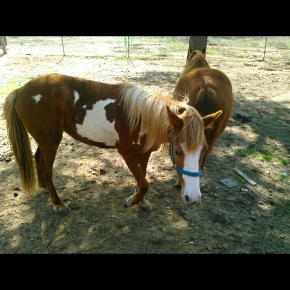 Profile Picture of Mary Hudgeons (@mhudgeons) on Poshmark