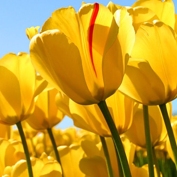 Profile Picture of Boss Boss (@boss28) on Poshmark