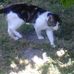 Profile Picture of Daniel Pierre Poupon (@bernard.padowski.7) on Facebook