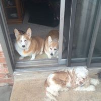 Profile Picture of Phyllis Dodd (@phyllis-dodd-1) on Quora