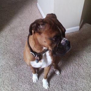 Profile Picture of Dylan Cardwell (@1743dc1f05de46d) on Twitter