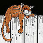 Profile Picture of Donna Evans (@donnapevans) on Flickr