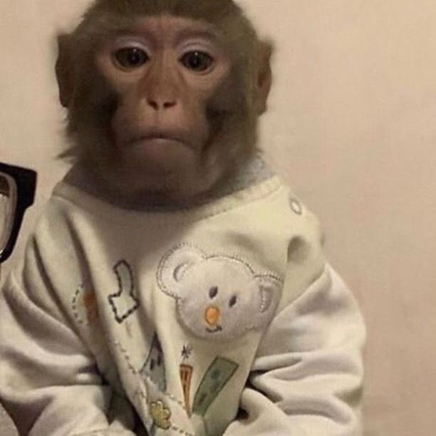 Profile Picture of abbey (@ikilledabbey) on Tiktok