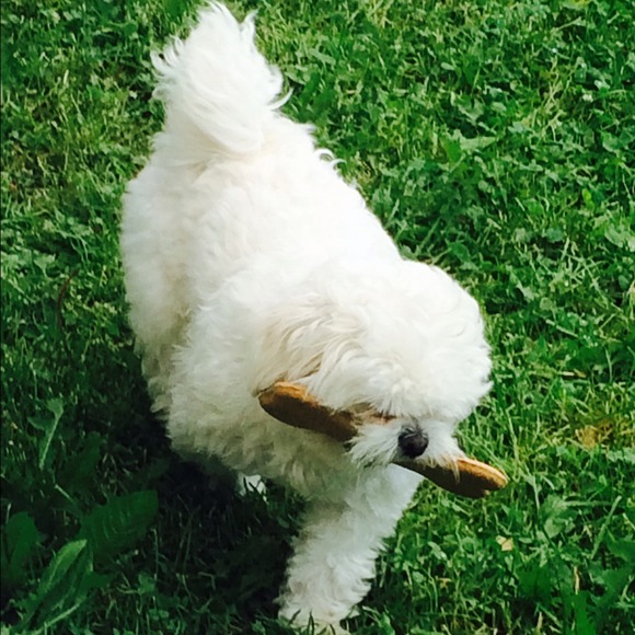 Profile Picture of Eloisa Hernandez (@anent0318) on Poshmark