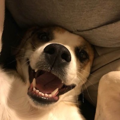 Profile Picture of Joel Bunn (@JoelBunn3) on Twitter