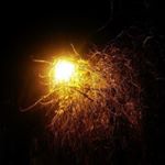 Profile Picture of La Setta dei Poeti estinti (@la_setta_dei_poeti_estinti) on Instagram