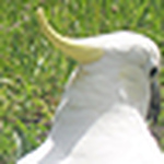 Profile Picture of James Foley (@jjfoles) on Flickr