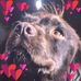 Profile Picture of Andrew Kowalczyk (@andrew.kowalczyk.58) on Facebook