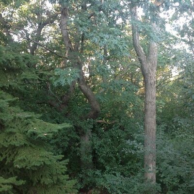 Profile Picture of Scott Hemenway (@svhemenway) on Twitter