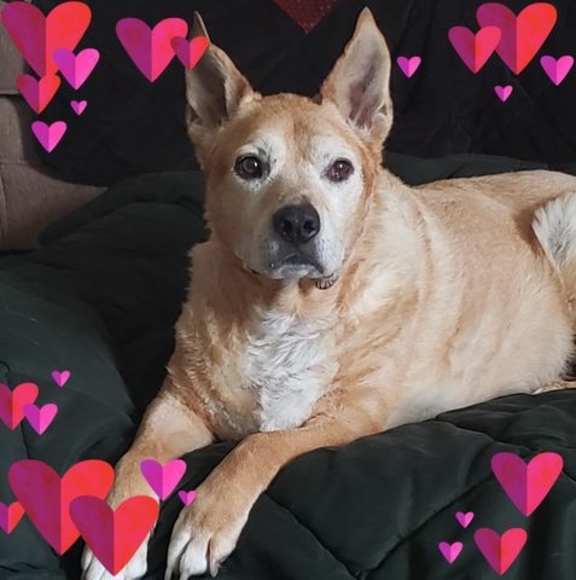 Profile Picture of Jimmy Iennaco (@deliveryman88) on Poshmark