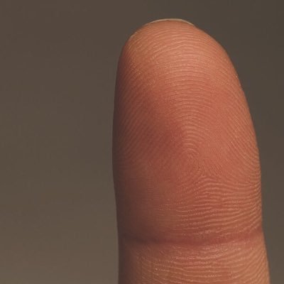 Profile Picture of Kevin Owens Finger (@OwensFinger) on Twitter