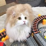 Profile Picture of 검정 (@black7_12) on Instagram