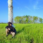 Profile Picture of Muhammad Arif Ilhamnoor (@arif_ilhamnoor) on Instagram