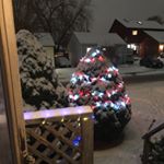 Profile Picture of Lorie (@lorieduncanlll) on Instagram