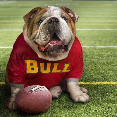 Profile Picture of Dawn Brooks (@dawnbrooks16) on Twitter