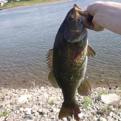 Profile Picture of Dylan Arndt (@dylanarndt2) on Twitter