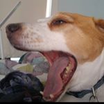 Profile Picture of Julian (朱利安） (@canadianmousse) on Instagram